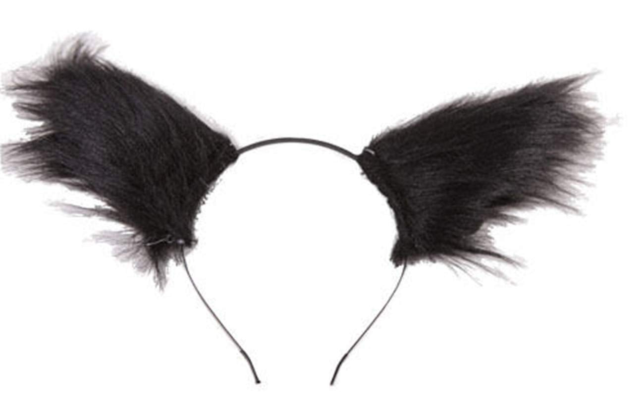 OREILLE RENARD LOUP SERRE TETE NOIR