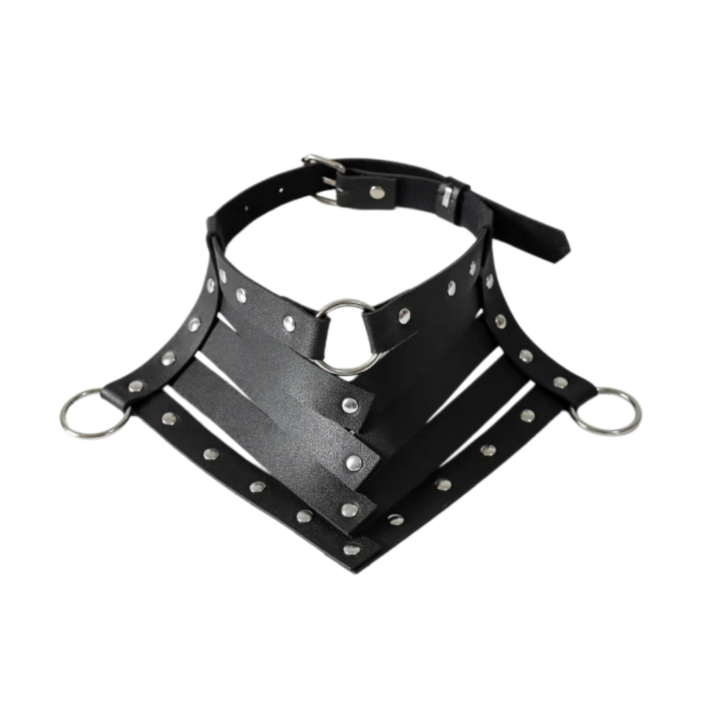 HARNAIS CHOKER COLLIER CLOUS