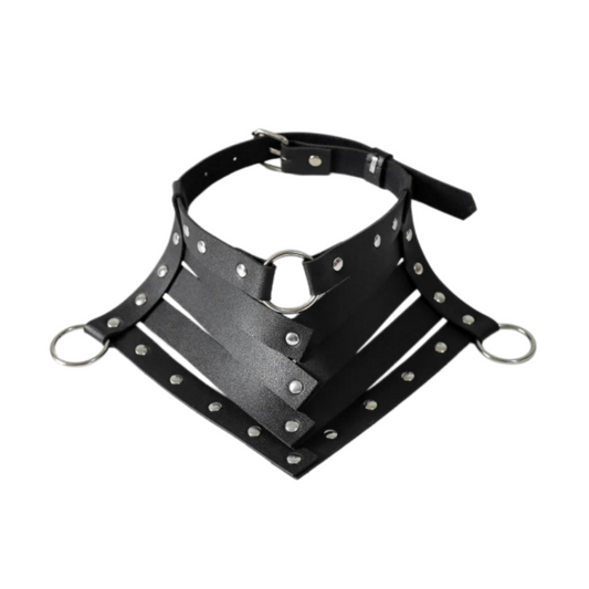 HARNAIS CHOKER COLLIER CLOUS